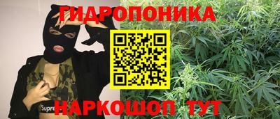 mdma Новодвинск