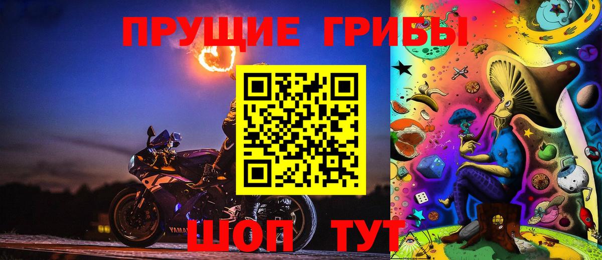 Галлюциногенные грибы Psilocybe Партизанск